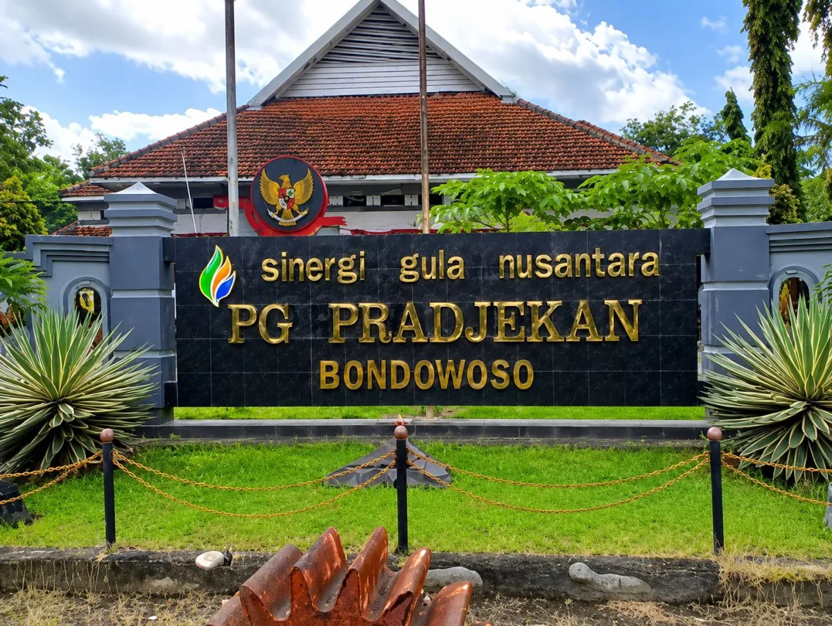 Penerapan standar mutu MBS (Manis, Bersih, dan Segar) menjadi kunci utama peningkatan rendemen dan kesejahteraan petani mitra PG Pradjekan.